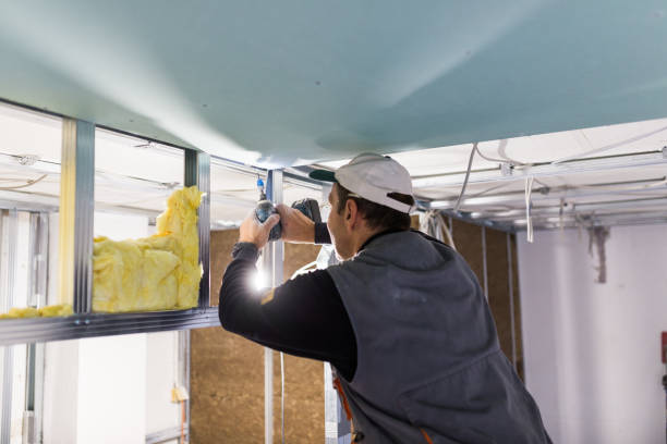 Best Commercial Insulation in Versailles, IN