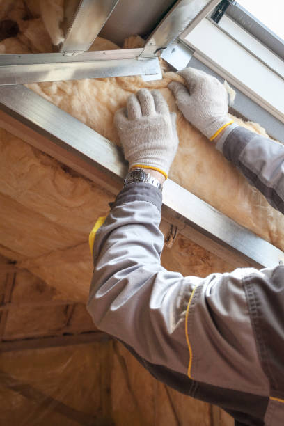 Best Cellulose Insulation in Versailles, IN