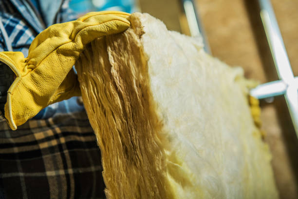 Best Insulation Maintenance and Repair in Versailles, IN