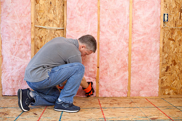 Types of Insulation We Offer in Versailles, IN