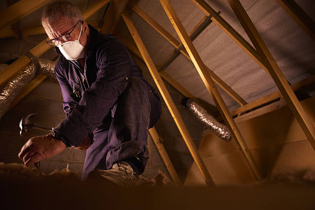 Best Geographic-Specific Insulation Services in Versailles, IN