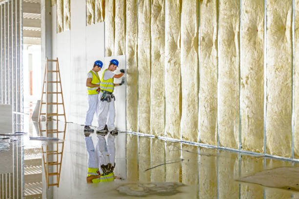 Best Residential Insulation in Versailles, IN